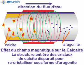 DYNAVIVE - Effet du champ magnétique sur le Calcaire contenu dans l'eau