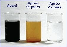 DYNAVIVE - Résultat VORTEX sur l'eau de circuit de chauffage (élimination des bactéries, désembouage des circuits de chauffage)