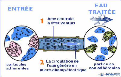 DYNAVIVE - Principes actifs d'un module anti-calcaire SAT