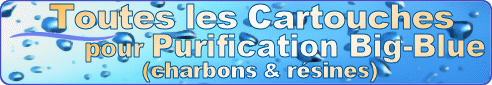 DYNAVIVE - Cartouches Big-Blue� de purification de l'eau