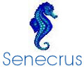 Senecrus (Rungis)-Cuisson de crustacés