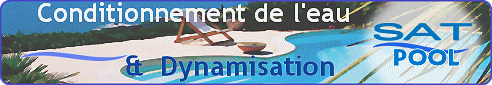DYNAVIVE - Conditionneur d'eau SAT-POOL pour la dynamisation de l'eau de piscine)