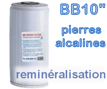 Voir dtails>  Cartouche Reminralisante - Big Blue 10''