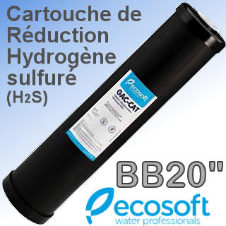Cartouche de rduction Hydrogne Sulfur (H2S) -Big Blue 20''