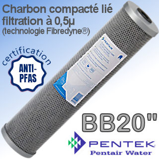 Voir> Cartouche Charbon anti-PFAS Pentair® Floplus-Fibredyne 0,5 micron - Big Blue 20''