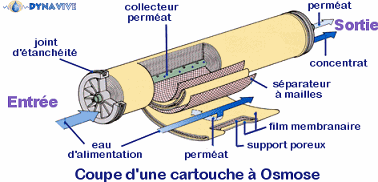 DYNAVIVE OSMOSE - Coupe d'une cartouche à Osmose