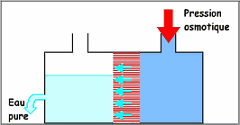 DYNAVIVE OSMOSE - La pression osmotique