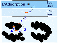 DYNAVIVE FILTRATION - Les 4 phases du phénomène d'Adsorption du charbon actif