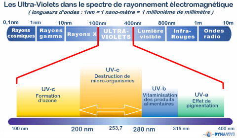 DYNAVIVE - Spectre des Ultra-Violets type C