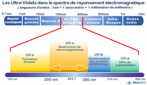 DYNAVIVE - Spectre Ultra-Violet type C