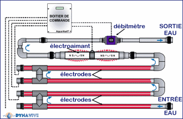 Fonctionnement d'un module Aqua-Hort®